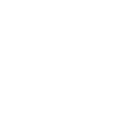 Mustang Survival PRO